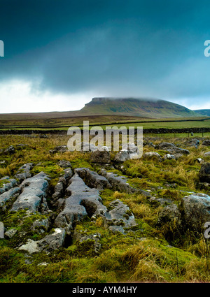 Pen-y-Ghent Yorkshire Dales National Park in Inghilterra Foto Stock