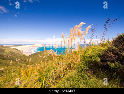 Nuova Zelanda Cape Reinga vista dalla scogliera guardando in giù verso la spiaggia e surf Foto Stock