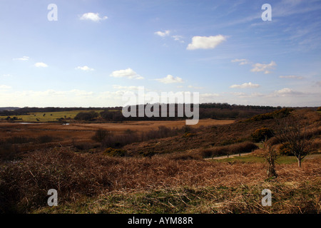 MINSMERE WILDLIFE R.S.P.B. Riserva dalla DUNWICH HEATH IN PRIMAVERA. SUFFOLK. In Inghilterra. Foto Stock