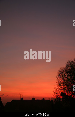 Rosso e viola del tramonto su stagliano tetti e alberi Foto Stock