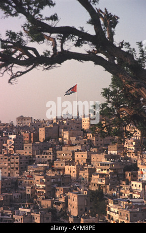 La Giordania sera vista sul centro di Amman Foto Stock
