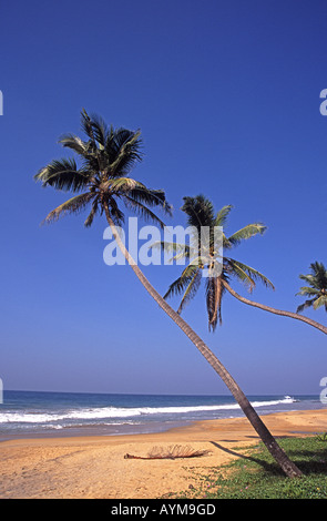 SRI LANKA Beach nei pressi di Unawatuna sulla costa sud Foto Stock