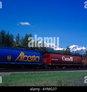 CP barra vicino al Lago Louise, Alberta, il Parco Nazionale di Banff, Canada. Foto di Willy Matheisl Foto Stock