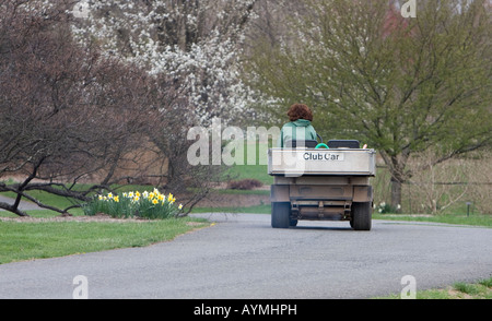 Un giardiniere in un parco la guida lungo un sentiero lastricato in un veicolo utilitario. Foto Stock