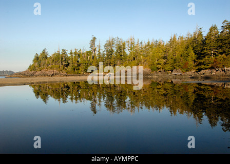 Riflessioni McKenzie Beach Tofino Vancouver Island British Columbia Canada Foto Stock