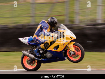 Carl Rennie in sella a una Suzuki Powerbike tirando un'impennata in gara ad Oulton Park Motor Racing circuito Cheshire England Regno Unito Foto Stock