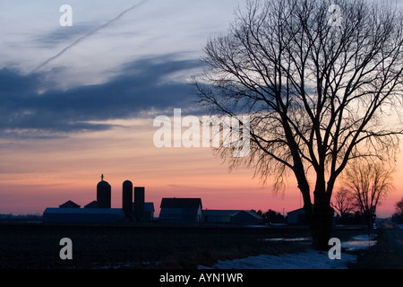 Una piccola azienda agricola e il grande albero si stagliano contro un tramonto colorato. Foto Stock