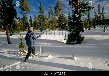 Un CROSS COUNTRY SKIIER attraversa un prato nevoso in tre sorelle deserto delle cascate sorelle OREGON Foto Stock