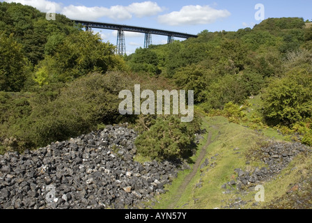 Meldon viadotto sul bordo nord-occidentale di Dartmoor, vicino a Okehampton Foto Stock