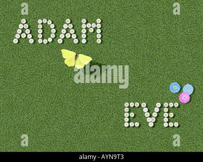 Adamo ed Eva scritto con fiori sillabato modificati preconfigurate Foto Stock