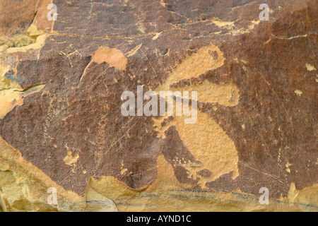 Petroglyph alla leggenda rock sito archeologico in Wyoming Foto Stock