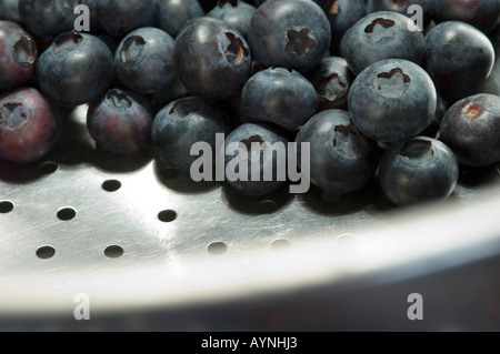 Primo piano di frutti di frutta di frutti di bosco appena raccolti Foto Stock