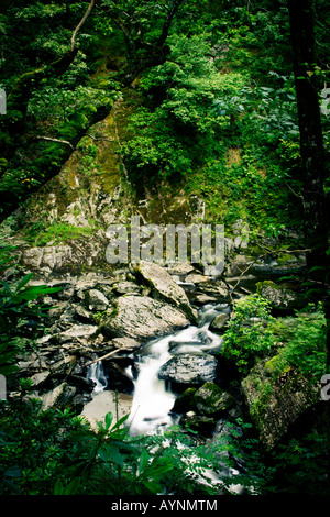 Cascata al Ponte del Diavolo, Aberystwyth, Galles Foto Stock