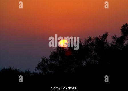 Atardecer en el Parque Natural de los Alcornocales Foto Stock