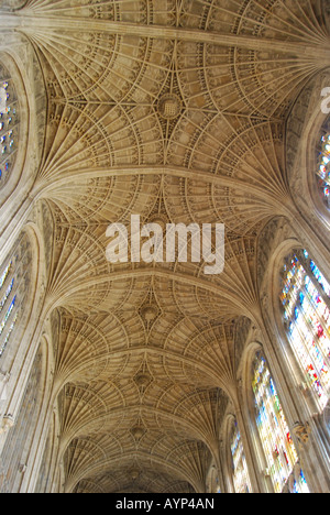 Fan navata a volta, King's College Chapel, King's College, Cambridge, Cambridgeshire, Inghilterra, Regno Unito Foto Stock