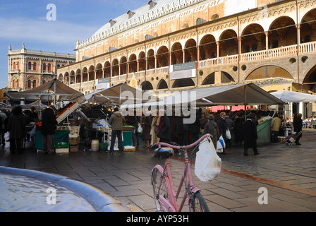 Padova Veneto Italia Piazza delle Erbe,il mercato all'aperto e il Palazzo della Loggia Foto Stock