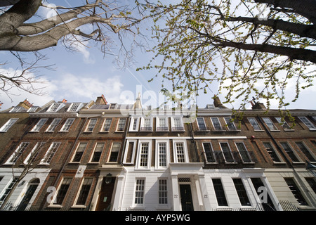 Schiera case in stile georgiano tra cui la casa di Thomas Carlyle Cheyne Row Chelsea London SW3 Foto Stock
