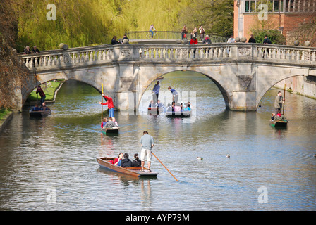 Gli studenti punting sul fiume Cam, Cambridge, Cambridgeshire, England, Regno Unito