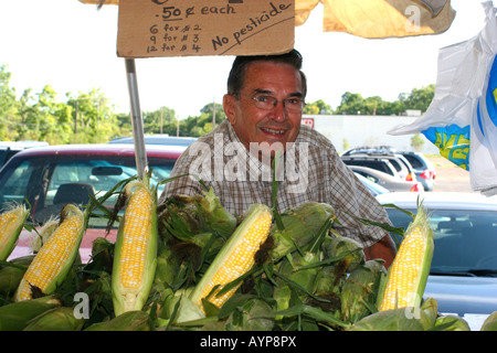 Mercato dei coltivatori di mais dolce biologico, di Carol Dembinsky/Photo Assoc Foto Stock