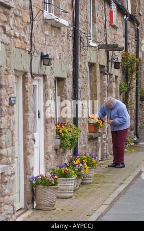 Villette a schiera di design tradizionale in Hay on Wye Powys Wales UK UE anziana signora piantagione window box con fiori Foto Stock