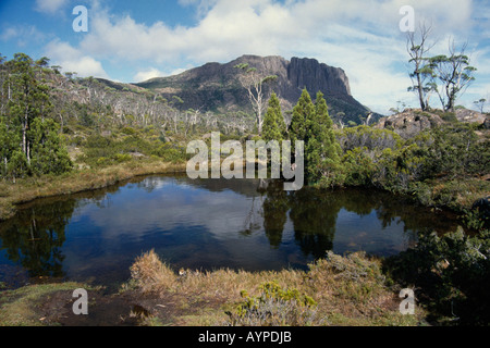 AUSTRALIA Tasmania Lago Saint Clair Parco Nazionale del Monte cinto di mura nel labirinto in Cradle Mountain Foto Stock