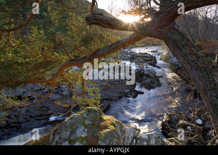 Il fiume Carron nella luce della sera in Alladale station wagon, Scozia Foto Stock