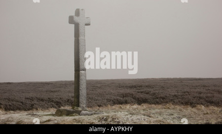 Coperta di neve giovani Ralph Cross, North York Moors, Blakey Ridge, North Yorkshire, Regno Unito Foto Stock