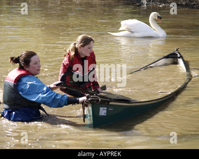 Barca piena di acqua dopo essere ribaltati dal swan quando sono arrivati vicino al suo nido Foto Stock