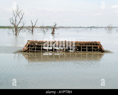 Rotture di tetto di una casa immersa nel fango caldo e acqua,alberi morti dietro,Sidoarjo,East Java,l'Indonesia. Foto Stock