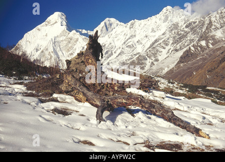 Mountain Nandadevi Est Base Camp 7434 metro del Nanda Devi diritto di picco 7816 metro Uttaranchal India Asia Foto Stock