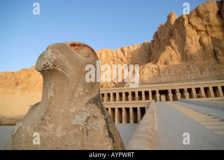 Statua di Horus rappresentato come un falco sulla terza storia del tempio mortuario della Regina Hatshepsut, Deir El-Bahari, Luxor, E Foto Stock