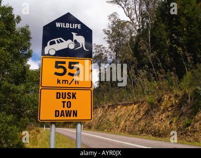 Attraversamento della fauna selvatica segno, alba al tramonto, Queensland, Australia Foto Stock