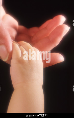 Baby Mano che afferra la mano per adulti Foto Stock
