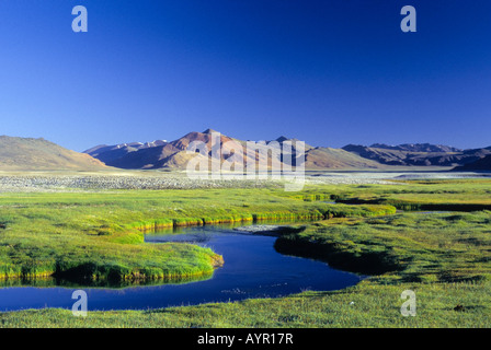 Meandri della propaggine del Lago Kar Tso, pianoro erboso e innevate vette al di sopra dei 4900 metri, Himalaya, Ladakh, India Foto Stock