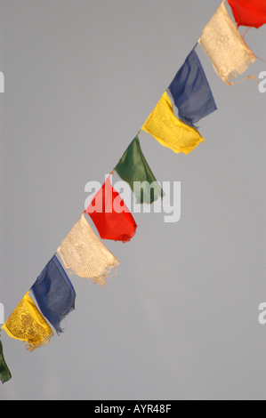 Una serie di colorate bandiere buddiste tibetane che sventolano contro un cielo limpido e pallido. Foto Stock