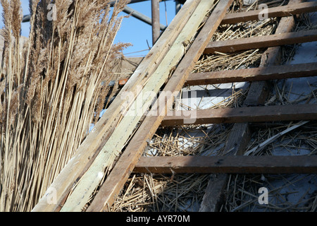 Ricoprendo di paglia del tetto in corso. Foto Stock