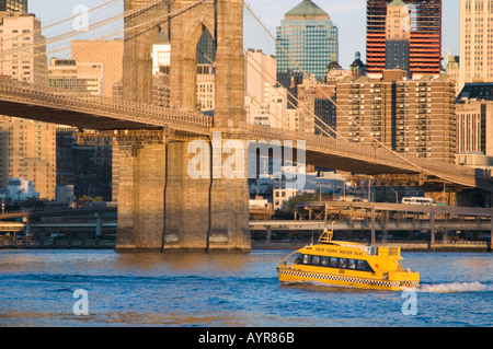 NEW YORK water taxi a sunrise passando sotto il ponte di Brooklyn con il QUARTIERE FINANZIARIO IN BACKGROUND Foto Stock