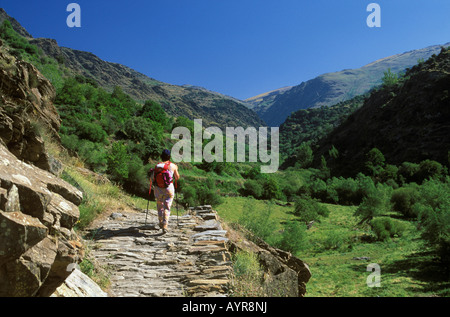 Trevélez Valley, femmina escursionista, Sierra Nevada, Alpujarra, Alpujarras, Granada, Andalusia, Spagna Foto Stock