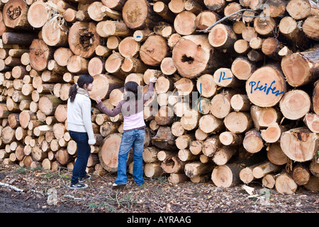 I bambini in piedi di fronte a un gran mucchio di tronchi, alberi tagliati giù dopo una tempesta, Hesse, Germania Foto Stock