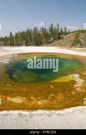 Pool di bellezza in Upper Geyser Basin, il Parco Nazionale di Yellowstone, Wyoming USA Foto Stock