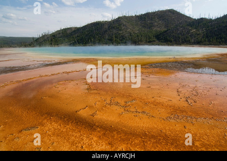 Grand Prismatic Spring in Midway Geyser Basin, il Parco Nazionale di Yellowstone, Wyoming USA Foto Stock