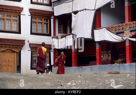 I monaci del bambino che gioca con un cane in Lamayuru, Ladakh, India Foto Stock