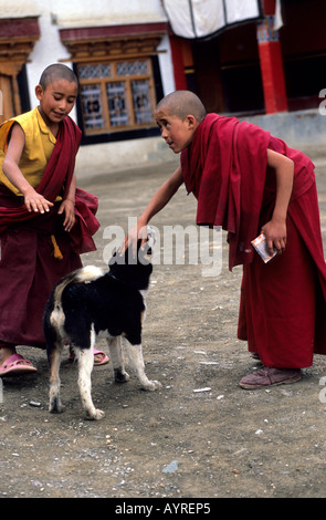 I monaci del bambino che gioca con un cane in Lamayuru, Ladakh, India Foto Stock