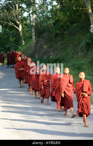 I monaci buddisti, Birmania (Myanmar), Sud-est asiatico Foto Stock