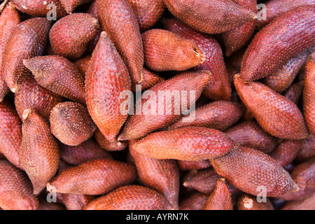 Salak frutta o frutta di serpente (Salacca zalacca) Foto Stock