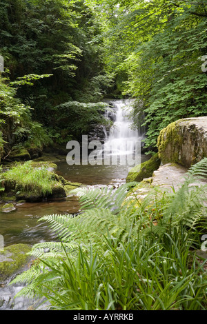 La cascata sulla trasformata per forte gradiente Oak acqua poco prima che scorre in est Lyn River a Watersmeet vicino, Lynmouth Exmoor, Devon Foto Stock