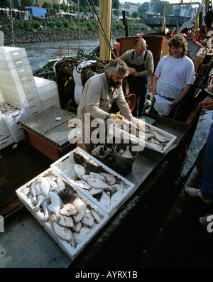 D-Hamburg, Elba, Freie Hansestadt Hamburg, Hamburg-Sankt Pauli, venditore di pesce sul mercato del pesce Foto Stock