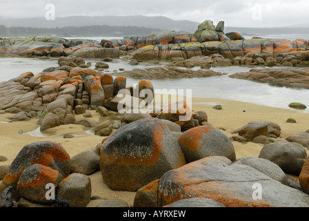 Pioggia caduta sulla baia di incendi, costa est della Tasmania, Australia Foto Stock