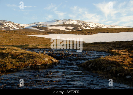 Il flusso di fusione e neve, cadde solitaria paesaggio, Abisko National Park, Lapponia, Svezia Foto Stock