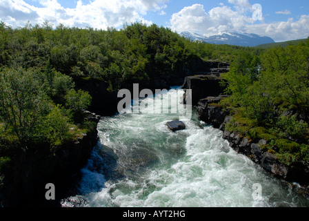 Turbolento di ruscello di montagna, Abisko National Park, Lapponia, Svezia Foto Stock